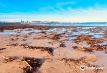 Fraserburgh Beach景点图片