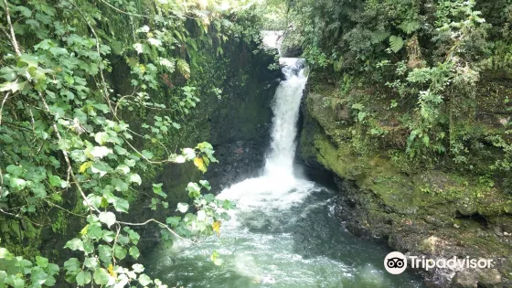 Waterfall Sauniatu