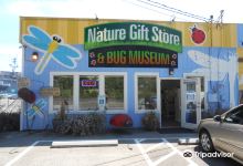 Bremerton Bug Museum景点图片