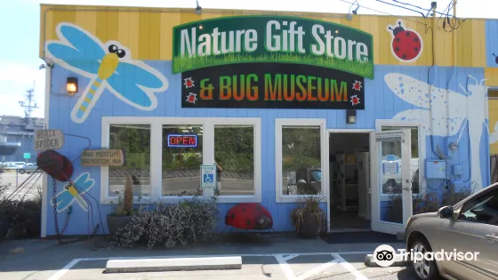 Bremerton Bug Museum