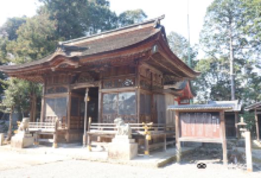 住吉神社景点图片
