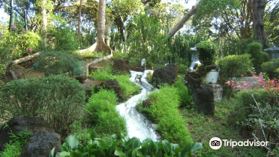 La Union Botanical Garden
