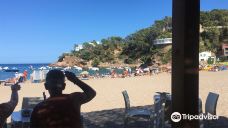 Playa Sa Riera-巴古尔