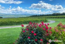 Lakewood Vineyards景点图片