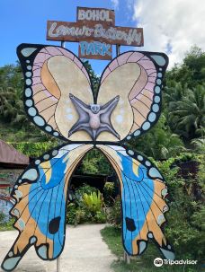Bohol Lemur and Butterfly-薄荷岛