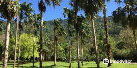 Wang Takrai National Park