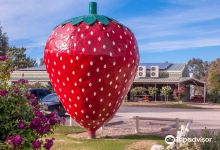 The Big Strawberry景点图片