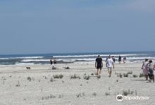 Corbu Beach景点图片