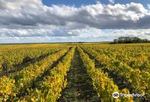 Domaine Bourillon Dorleans景点图片