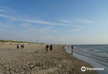 Strand van Wijk aan Zee景点图片