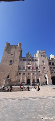 Narbonne Cathedral-纳巴达