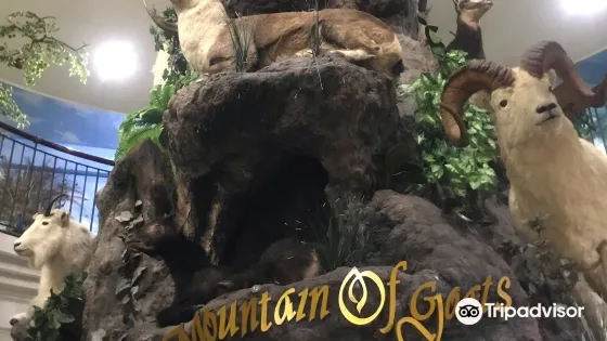 拉瑪特國際野生動物博物館