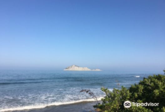 Waimarama Beach景点图片