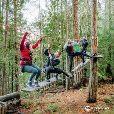 WildPlay Victoria-科尔伍德