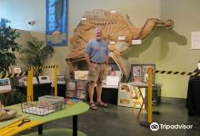 大平原恐龙博物馆景点图片