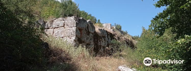 980110586