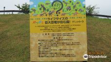 Katsuyama Dino Park-胜山市