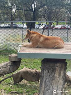 Bunbury Wildlife Park-South Bunbury