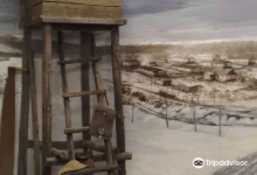 Vaninskiy Regional Museum of Local Lore景点图片