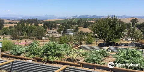 Sonoma County Wildlife Rescue