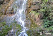 Whispering Falls景点图片