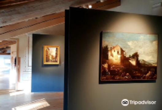 Museo Civico Villa Bassi Rathgeb景点图片