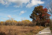 Barkhausen Waterfowl Preserve景点图片