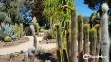 Arizona Garden-马里科帕