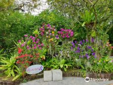 The Blooms Orchid Park-坡塔兰