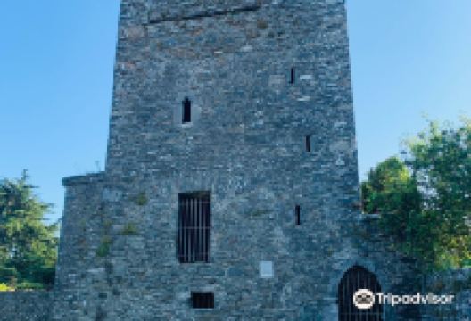 Termonfeckin Castle景点图片