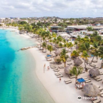 威廉斯塔德图片