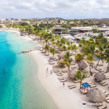 威廉斯塔德图片