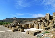 巴埃洛克劳狄亚-塔里法