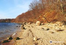 Garvies Point Museum and Preserve景点图片