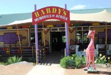 Hardys Memories of Africa African Art and Curios购物图片