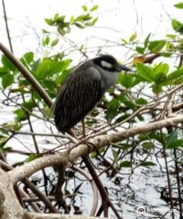Secret Woods Nature Center