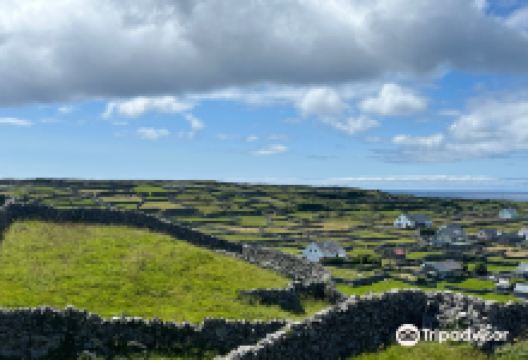 O'Brien's Castle景点图片