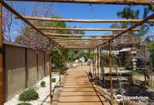 Yume Japanese Gardens景点图片