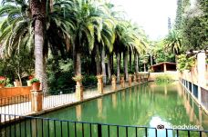 Jardí Botànic Tropical Paratge Pinya de Rosa-布拉内斯