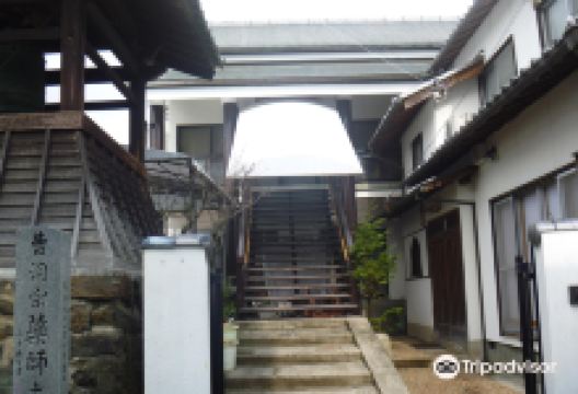 宗教法人药师寺景点图片