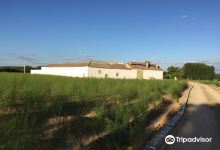 Huerta de San Vicente Casa Museo de Federico Garcia Lorca景点图片