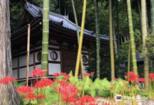 Chokoji景点图片