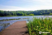 Pickerel Lake Park景点图片