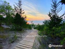 Pinery Provincial Park-大本德