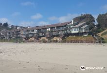 Manresa Main State Beach景点图片
