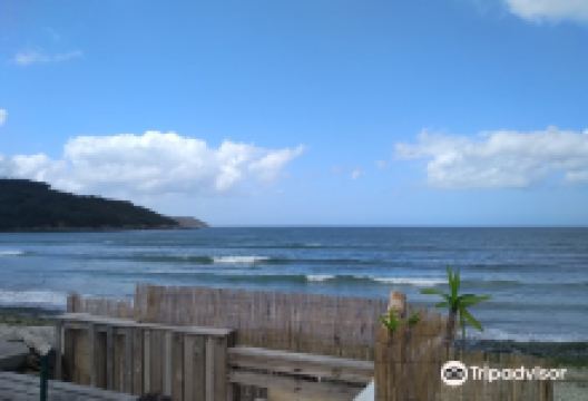 Surfing Locquirec景点图片