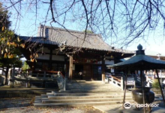 新井药师 梅照院景点图片