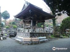 Jogan-ji Temple-汤河原町