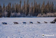 The Alaska Dogstead Mushing Company景点图片