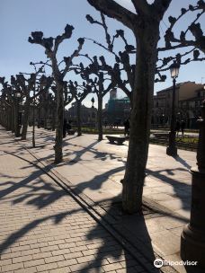 Cervantes Square-埃纳雷斯堡